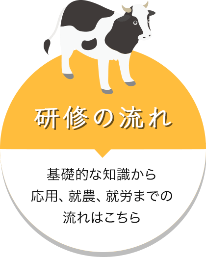 研修の流れ 基礎的な知識から応用、就農、就労までの流れはこちら