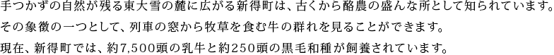 手つかずの自然が残る東大雪の麓に広がる新得町は、古くから酪農の盛んな所として知られています。その象徴の一つとして、列車の窓から牧草を食む牛の群れを見ることができます。現在、新得町では、約7,500頭の乳牛と約250頭の黒毛和種が飼養されています。