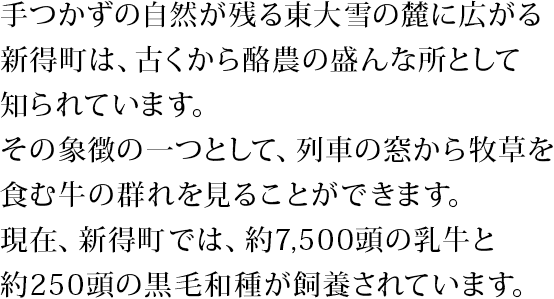 手つかずの自然が残る東大雪の麓に広がる新得町は、古くから酪農の盛んな所として知られています。その象徴の一つとして、列車の窓から牧草を食む牛の群れを見ることができます。現在、新得町では、約7,500頭の乳牛と約250頭の黒毛和種が飼養されています。