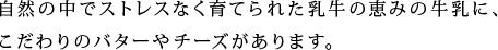 自然の中でストレスなく育てられた乳牛の恵みの牛乳に、こだわりのバターやチーズがあります。
