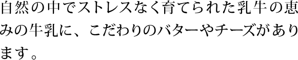 自然の中でストレスなく育てられた乳牛の恵みの牛乳に、こだわりのバターやチーズがあります。